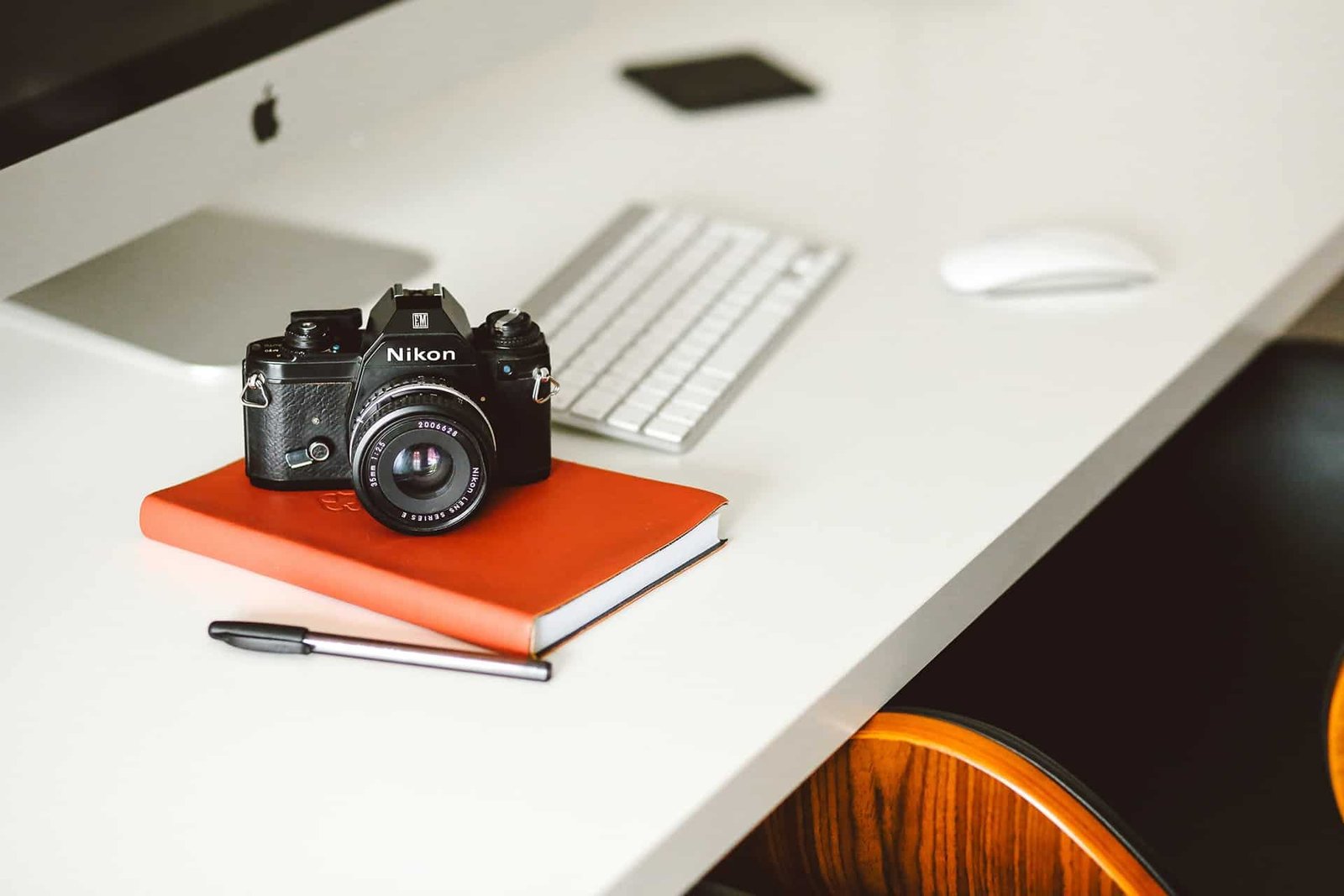 lilly rum 7b9ZUx3NPV0 unsplash WildlyKept