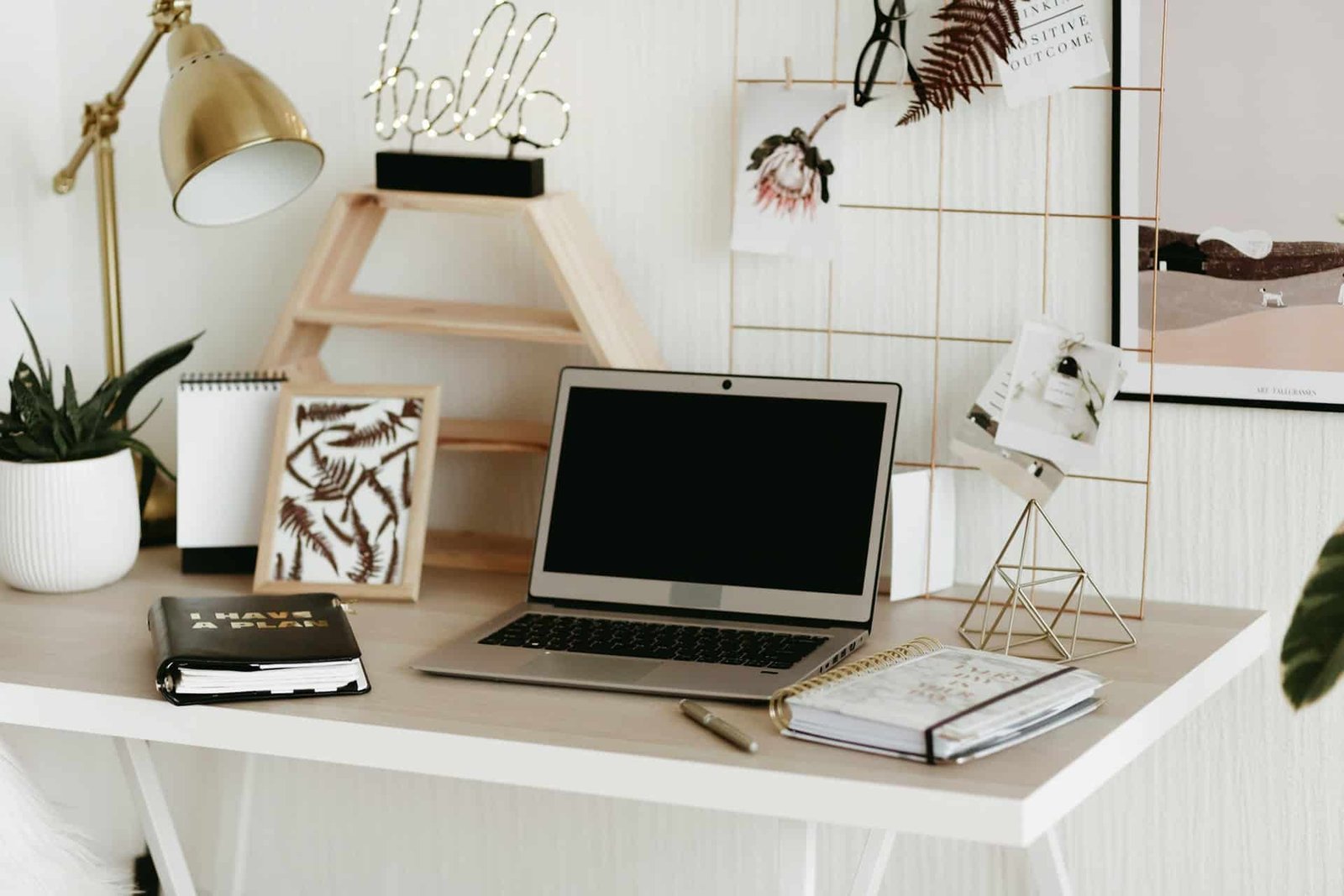 pexels polina kovaleva 5546811 WildlyKept