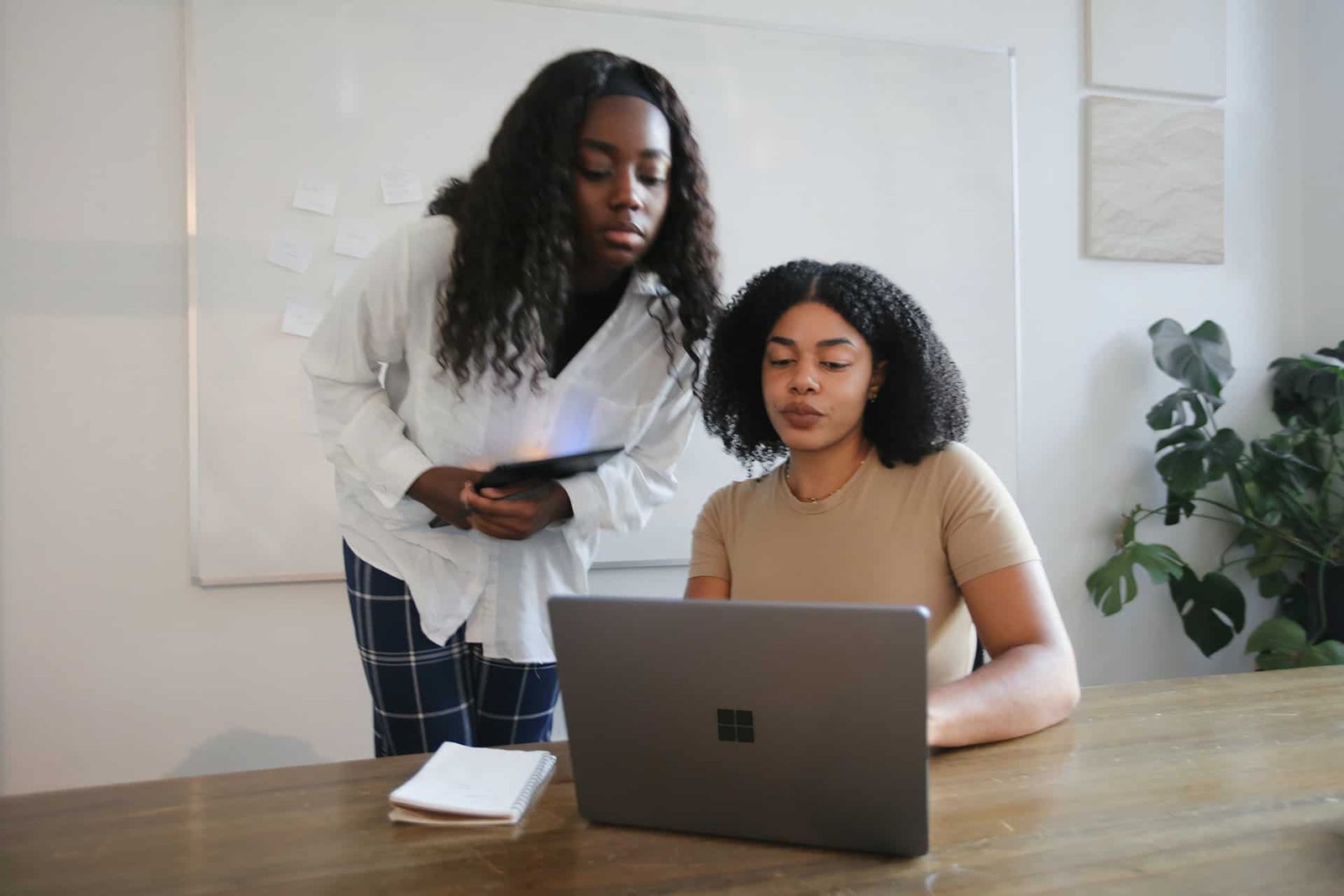 surface X9Nf97vE9Yw unsplash WildlyKept